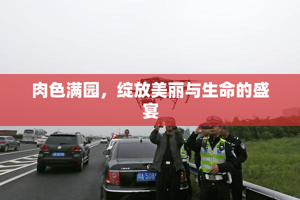 肉色满园，绽放美丽与生命的盛宴