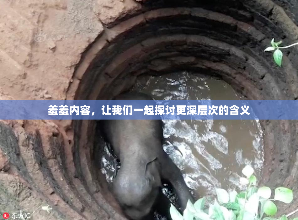 羞羞内容，让我们一起探讨更深层次的含义