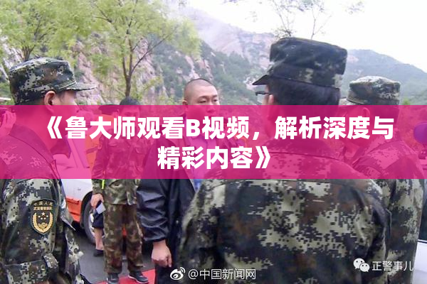 《鲁大师观看B视频，解析深度与精彩内容》