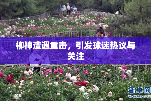 柳神遭遇重击，引发球迷热议与关注