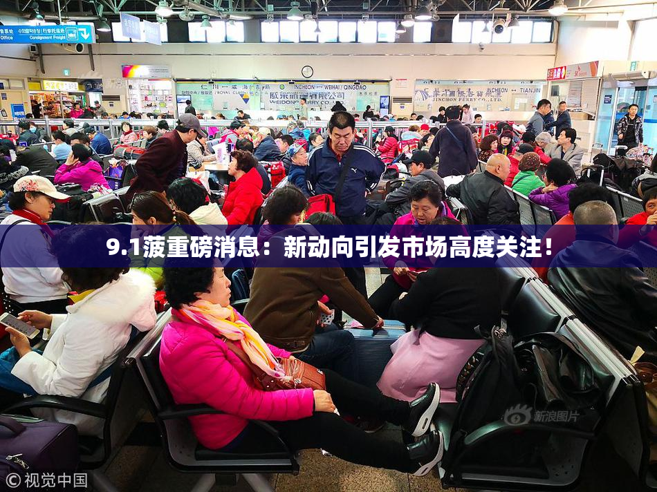 9.1菠重磅消息：新动向引发市场高度关注！