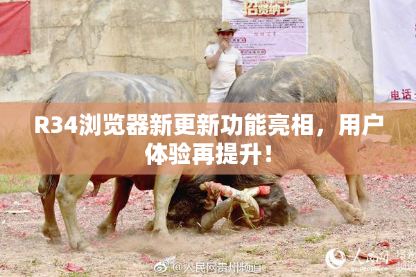 R34浏览器新更新功能亮相，用户体验再提升！