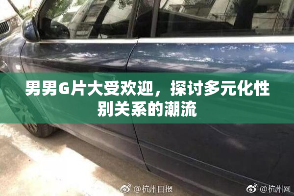 男男G片大受欢迎，探讨多元化性别关系的潮流