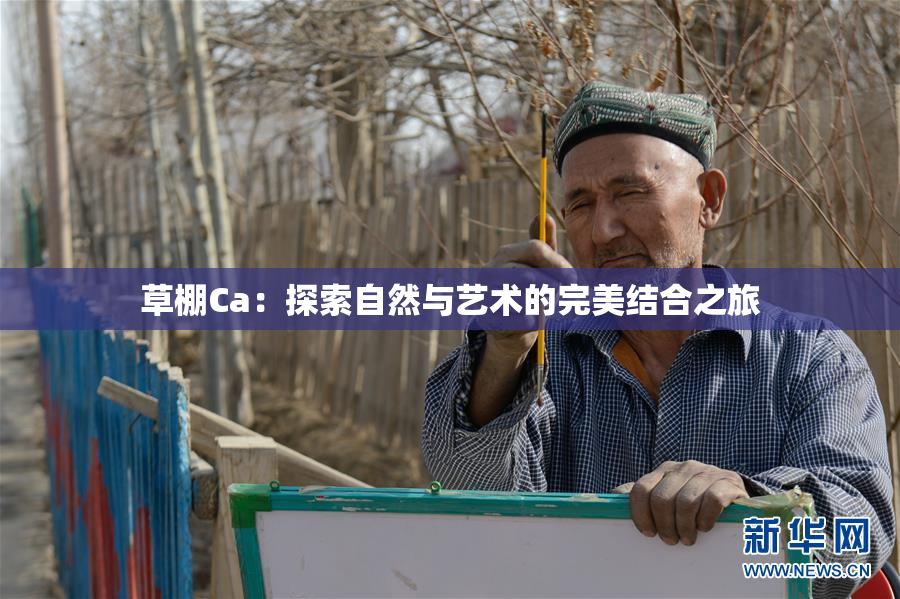 草棚Ca：探索自然与艺术的完美结合之旅