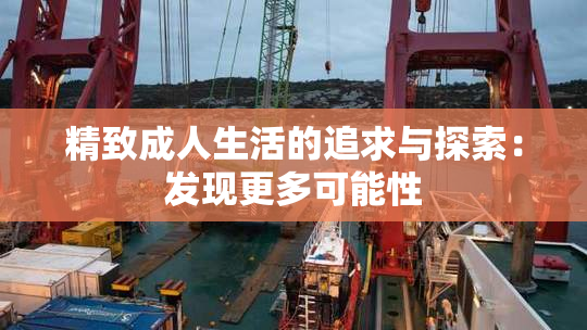 精致成人生活的追求与探索：发现更多可能性