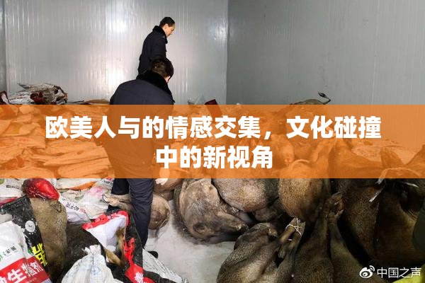 欧美人与的情感交集，文化碰撞中的新视角