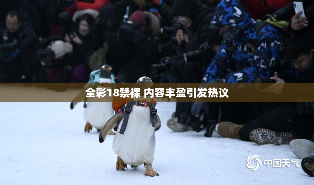 全彩18禁裸 内容丰盈引发热议