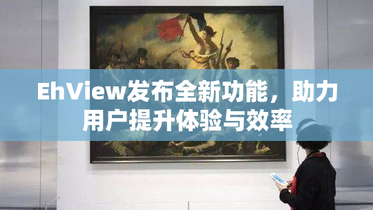 EhView发布全新功能，助力用户提升体验与效率