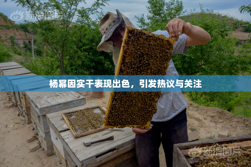 杨幂因实干表现出色，引发热议与关注