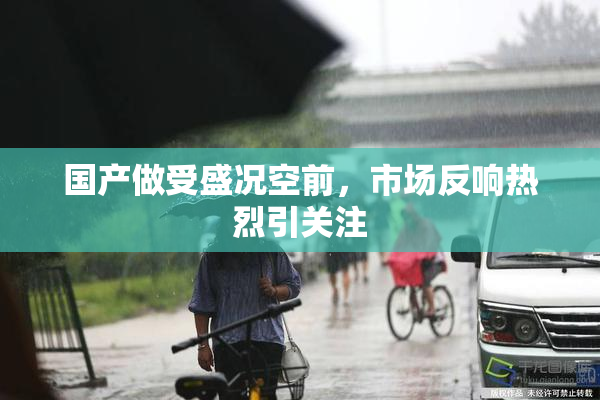 国产做受盛况空前，市场反响热烈引关注
