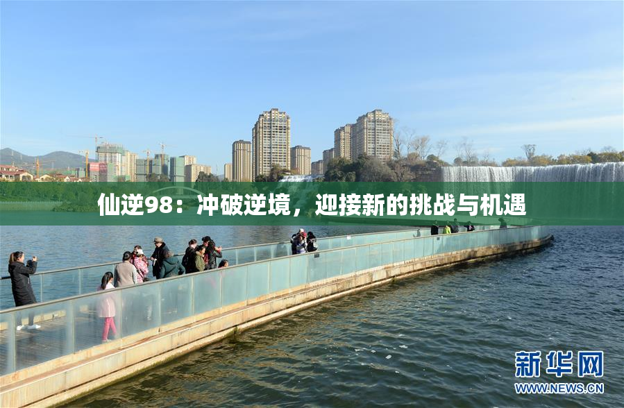 仙逆98：冲破逆境，迎接新的挑战与机遇