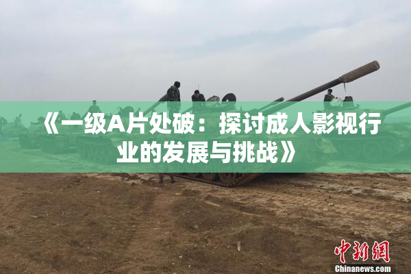 《一级A片处破：探讨成人影视行业的发展与挑战》