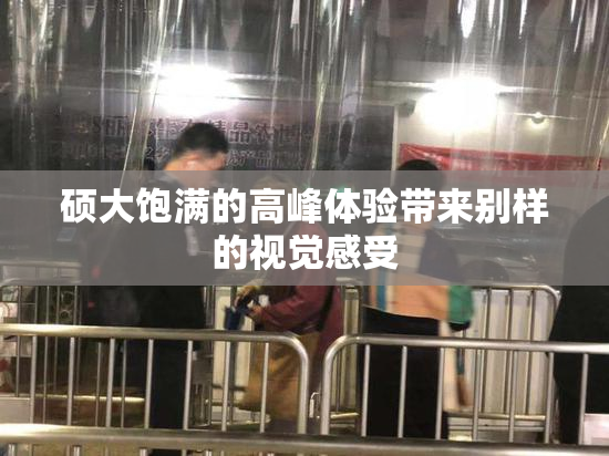硕大饱满的高峰体验带来别样的视觉感受