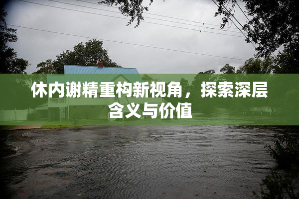休内谢精重构新视角，探索深层含义与价值