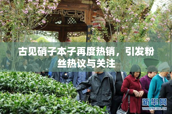 古见硝子本子再度热销，引发粉丝热议与关注