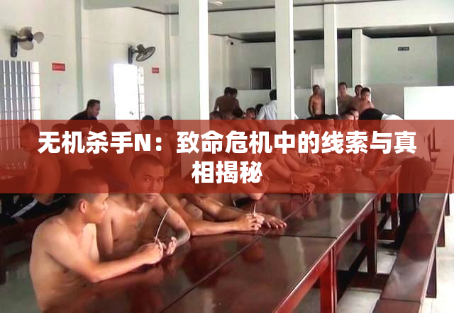 无机杀手N：致命危机中的线索与真相揭秘