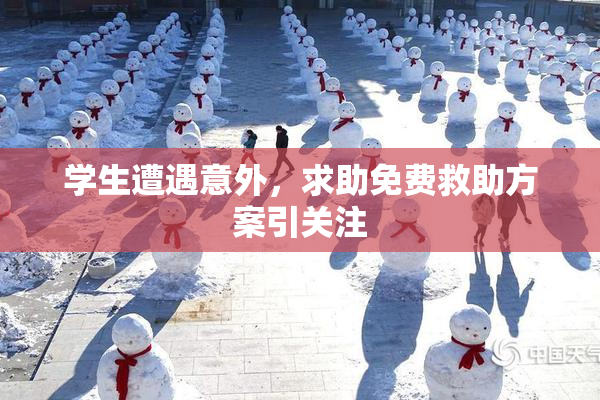 学生遭遇意外，求助免费救助方案引关注