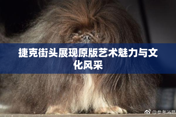 捷克街头展现原版艺术魅力与文化风采
