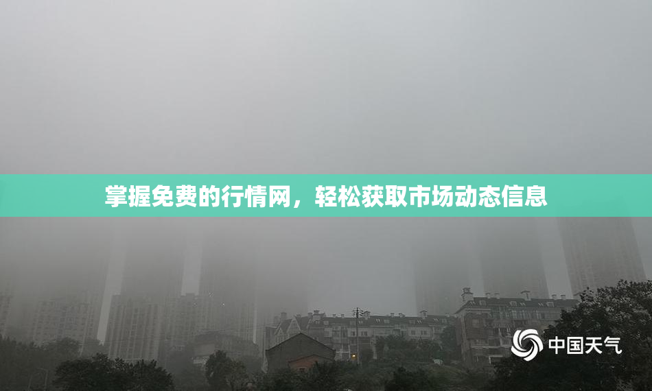 掌握免费的行情网，轻松获取市场动态信息