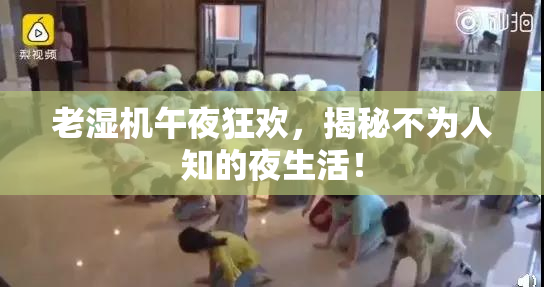 老湿机午夜狂欢，揭秘不为人知的夜生活！