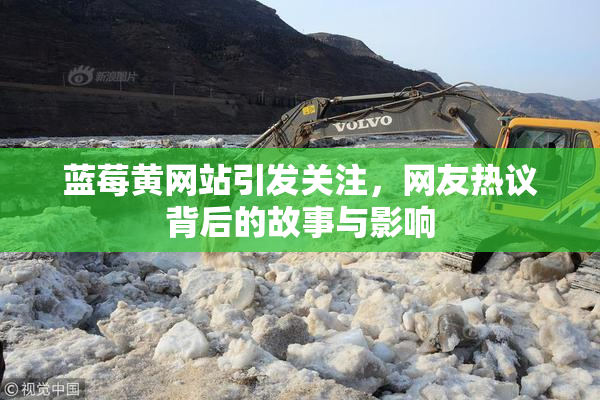 蓝莓黄网站引发关注，网友热议背后的故事与影响