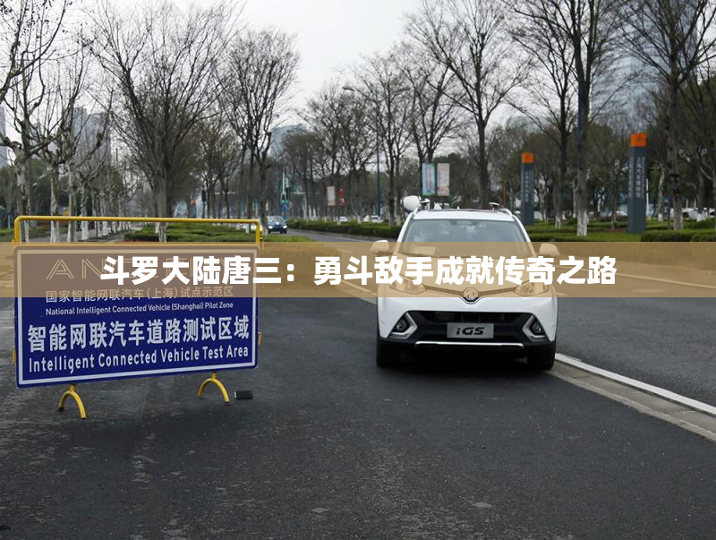 斗罗大陆唐三：勇斗敌手成就传奇之路