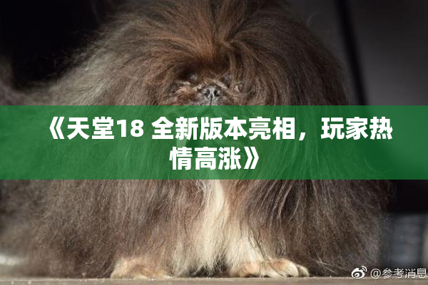 《天堂18 全新版本亮相，玩家热情高涨》