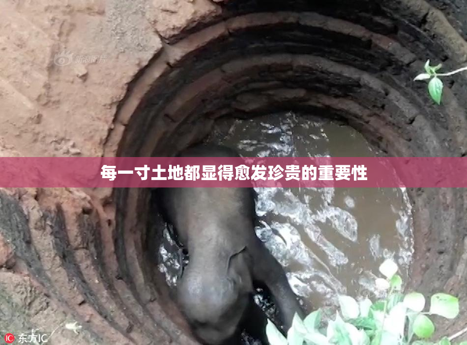 每一寸土地都显得愈发珍贵的重要性