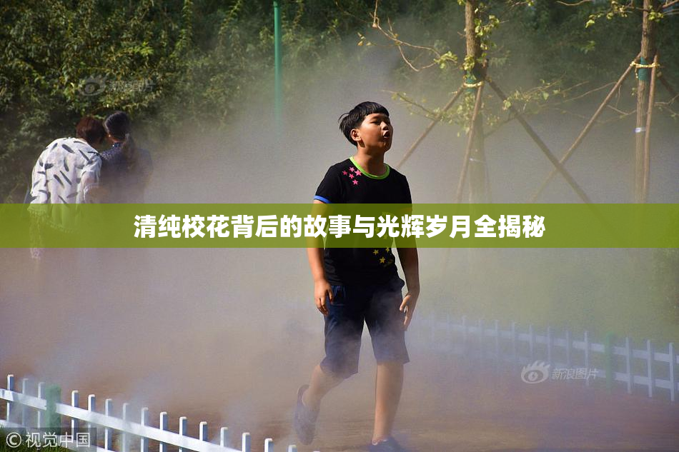 清纯校花背后的故事与光辉岁月全揭秘