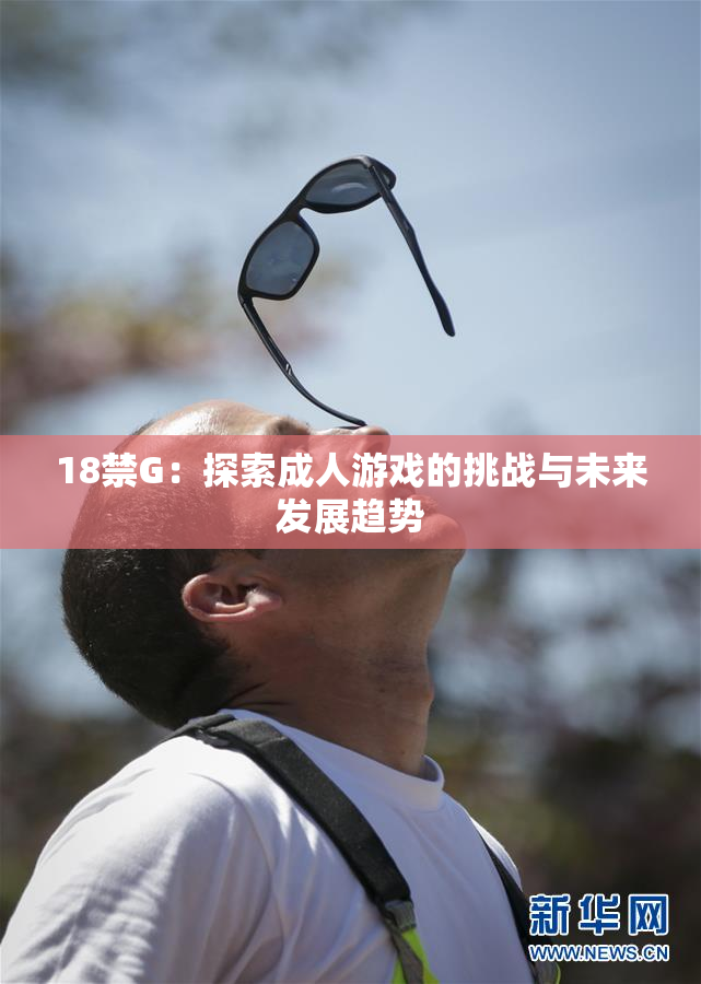 18禁G：探索成人游戏的挑战与未来发展趋势