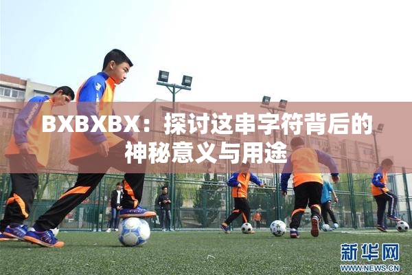 BXBXBX：探讨这串字符背后的神秘意义与用途