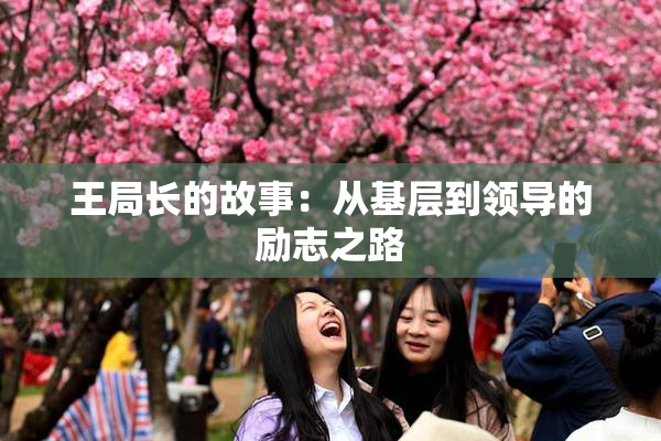 王局长的故事：从基层到领导的励志之路