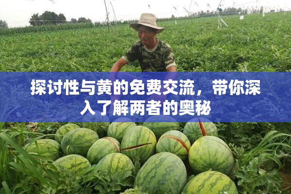 探讨性与黄的免费交流，带你深入了解两者的奥秘