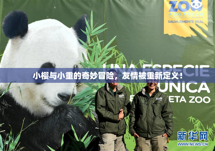 小樱与小重的奇妙冒险，友情被重新定义！