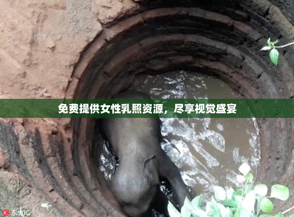 免费提供女性乳照资源，尽享视觉盛宴