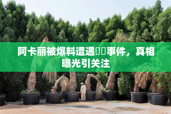 阿卡丽被爆料遭遇❌‌事件，真相曝光引关注
