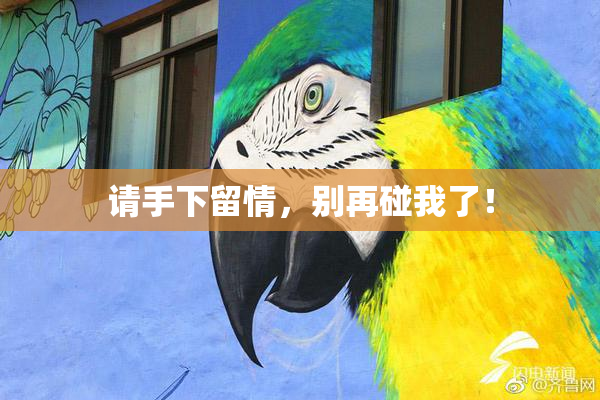 请手下留情，别再碰我了！
