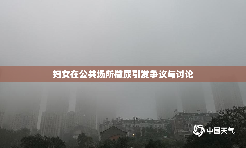 妇女在公共场所撒尿引发争议与讨论