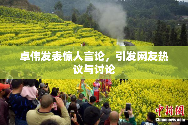 卓伟发表惊人言论，引发网友热议与讨论