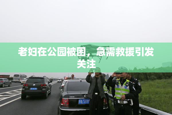 老妇在公园被困，急需救援引发关注