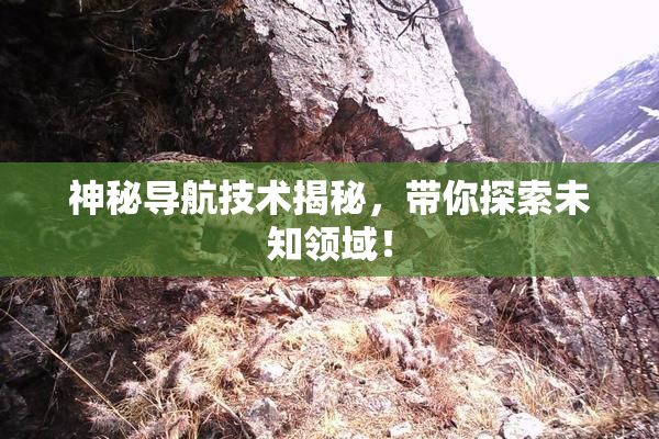 神秘导航技术揭秘，带你探索未知领域！