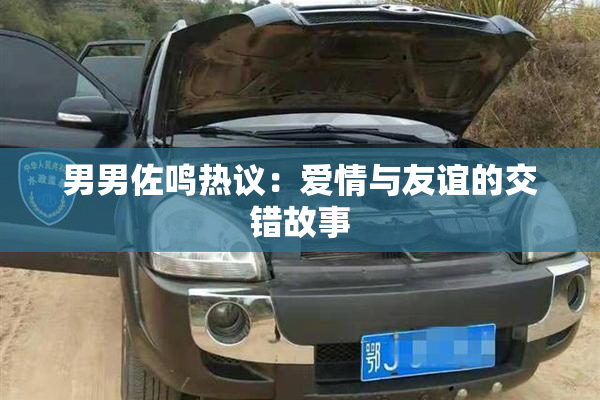男男佐鸣热议：爱情与友谊的交错故事