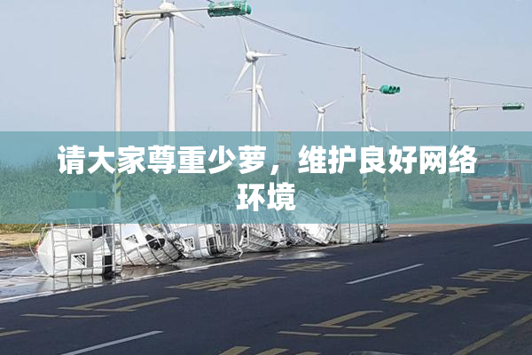 请大家尊重少萝，维护良好网络环境