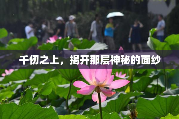 千仞之上，揭开那层神秘的面纱
