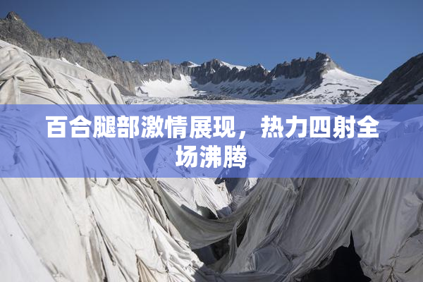 百合腿部激情展现，热力四射全场沸腾
