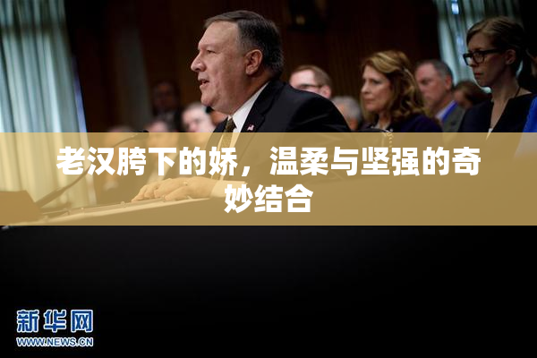 老汉胯下的娇，温柔与坚强的奇妙结合