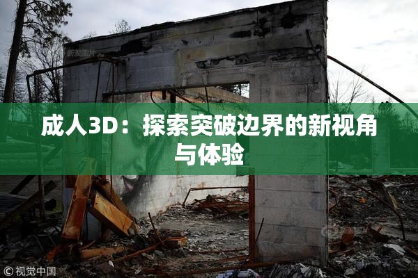 成人3D：探索突破边界的新视角与体验