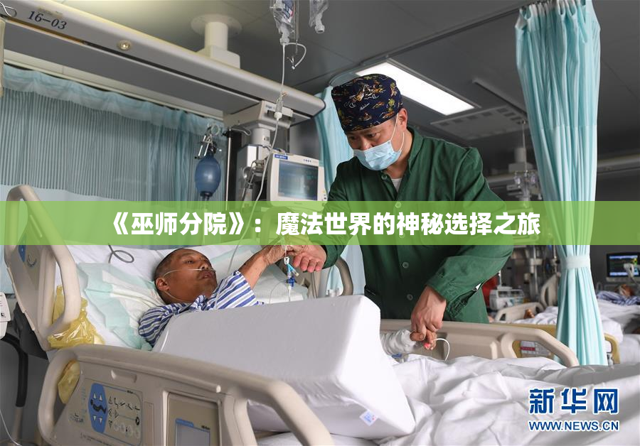 《巫师分院》：魔法世界的神秘选择之旅
