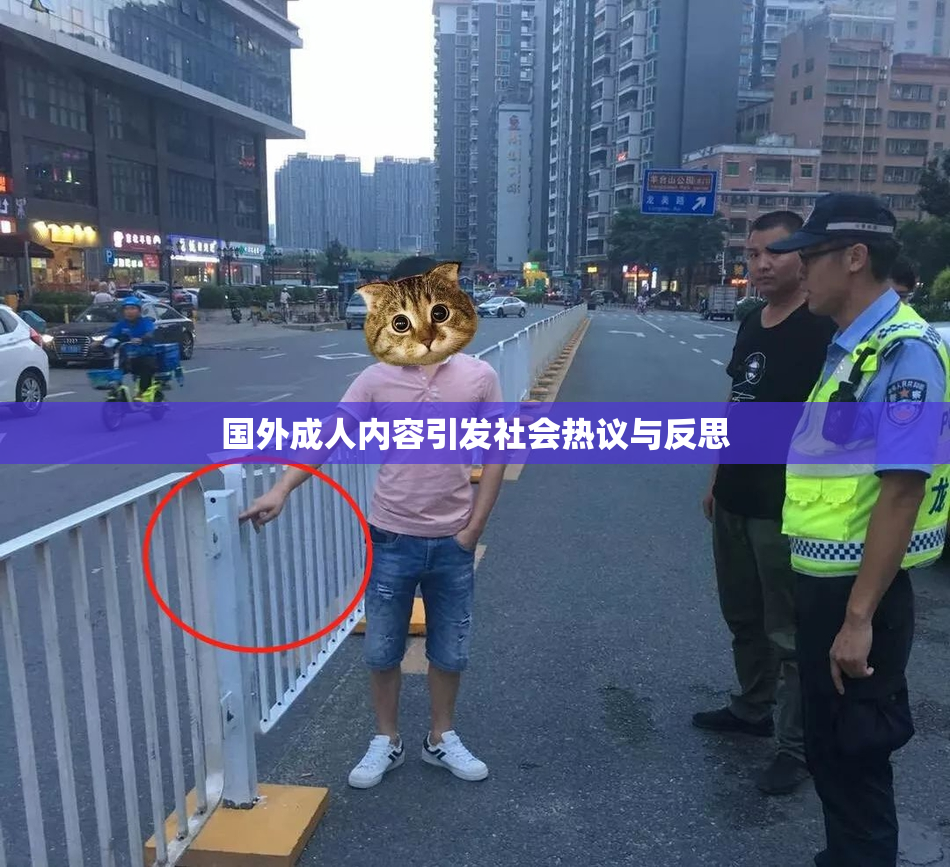 国外成人内容引发社会热议与反思