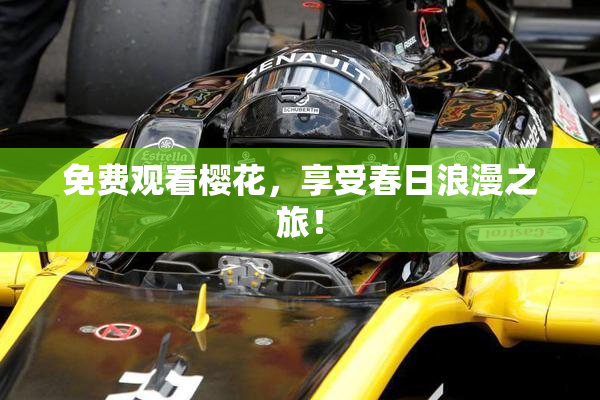 免费观看樱花，享受春日浪漫之旅！